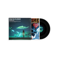 Вінілова платівка Bring Me The Horizon - Count Your Blessings Repented (1lp)