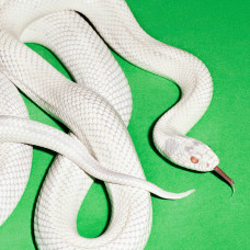 Музичний CD-диск Deftones - private music (1cd)