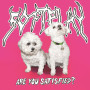 Вінілова платівка Soft Play - Are You Satisfied? (2lp)