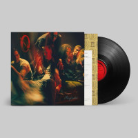 Виниловая пластинка Queens Of The Stone Age - Perfecth (1lp)