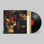 Виниловая пластинка Queens Of The Stone Age - Perfecth (1lp)