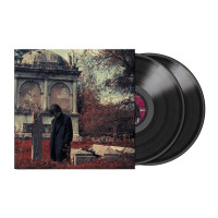 Виниловая пластинка Steven Wilson - Requiem For a Village (2lp)