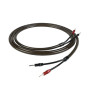 CHORD EpicX Speaker Cable 3m terminated pair