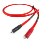 CHORD Shawline 2RCA to 2RCA 1m