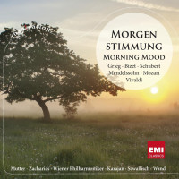 Various Artist - Morning Mood (Збірка класики для ранку) 1Cd