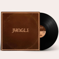 Вінілова платівка Jungle - Sunshine 1lp
