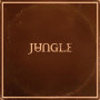 Вінілова платівка Jungle - Sunshine 1lp