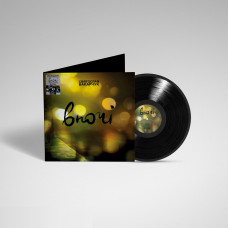 Вінілова платівка Святослав Вакарчук - Вночі 1lp