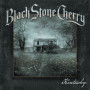 Вінілова платівка Black Stone Cherry - Kentucky (White vinyl) 1lp