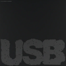 Вінілова платівка Fred again.. - Usb002 (2lp)