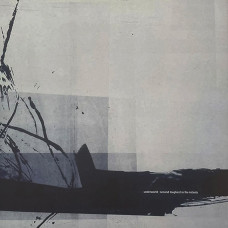 Вінілова платівка Underworld - Second Toughest In The Infants (2lp)