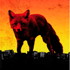 Бокс-сет The Prodigy - The Day Is My Enemy (Limited Deluxe Edition) (3lp)