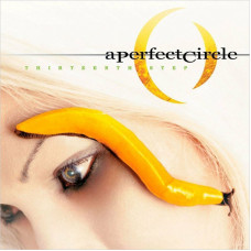 Вінілова платівка A Perfect Circle - Thirteenth Step 2lp