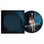 Вінілова платівка Amy Winehouse - Back To Black (Picture Disc) (Limited Edition)