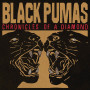 Вінілова платівка Black Pumas - Chronicles of a Diamond (Limited Edition) Clear Vinyl