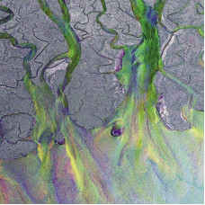 Виниловая пластинка Alt-J - An Awesome Wave (Fern Green Vinyl)