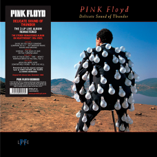 Виниловая пластинка Pink Floyd - Delicate Sound Of Thunder 2lp