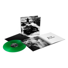 Вінілова платівка David Gilmour – Luck And Strange (Emerald Green Translucent) (Limited Edition) 1lp