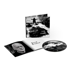 Музичний CD диск David Gilmour – Luck And Strange (Фірмовий)