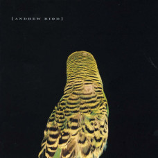 Музичний CD диск Andrew Bird – Armchair Apocrypha (Фірмовий)