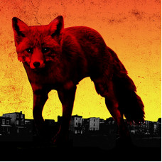 The Prodigy - The Day Is My Enemy (Ltd.2LP)