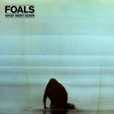 Музичний CD диск Foals – What Went Down (Фірмовий)