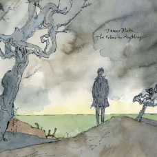 James Blake - The Colour In Anything 2 LP