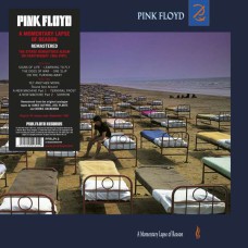 Вінілова платівка Pink Floyd - A Momentary Lapse Of Reason (180g)