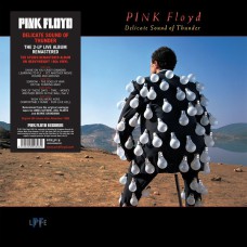 Pink Floyd - Delicate Sound Of Thunder (remastered) (180g) 2 LP