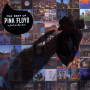 Pink Floyd - A Foot In The Door: The Best Of Pink Floyd 2 LP