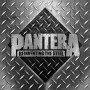 Pantera - Reinventing the Steel (20 Anniversary) 2lp