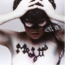 Bjork - Medulla