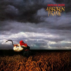 Вінілова платівка Depeche Mode - A Broken Frame