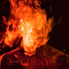 Tricky - Adrian Thaws (2LP + CD)