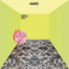 Medeski, Scofield, Martin & Wood - Juice (180g) 2 LP