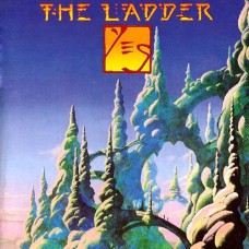Yes - The Ladder