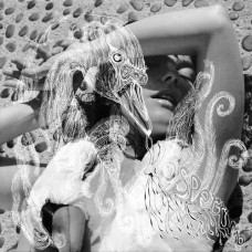 Bjork - Vespertine