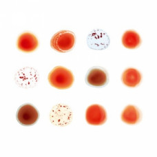 Peter Gabriel - Scratch My Back and I'll Scratch Yours