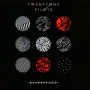 Вінілова платівка Twenty One Pilots - Blurryface (Limited Silver Edition) 2LP