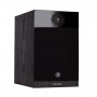Fyne Audio F301 Black Ash